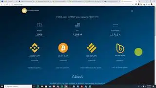 Полное руководство и обучающая программа Elephant.Money BTCB и BUSD | Доход от BTC и стейблкоинов! Узнайте, почему, что и как!