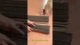 Fast game with cutting, stacking, glue this boxes #Pestfen#catproducts  #cardboardcutter #diycattoys