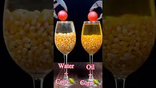 1000&deg;C RHCB vs Corn+ Water & Corn + Oil💧🌽😱#satisfyingvideo #asmr #experiment #science