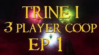 The Adventure Begins! - Coop #1 (Trine)