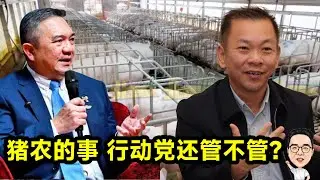 猪农的事 行动党还管不管？ @etchannel622  31.01.2026 