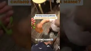Давайте на чистоту!