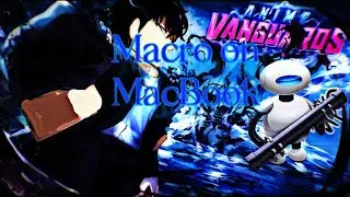 How To Macro Anime Vanguards On Macbook Easy And Simple Tutorial - ROBLOX Anime Vanguards