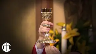 Католическая месса сегодня: 26.09.25 | День памяти святых Космы и Дамиана