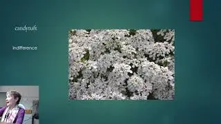 Folklore and Tales of Flowers and Plants