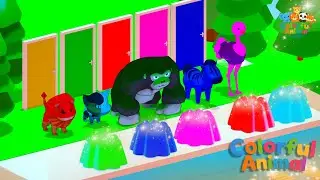Farm Animal Flashcards | Gorilla, Zebra, Cat & More | Colorful Animals