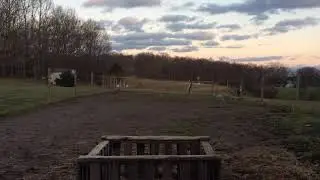 Day 2 of two Horse Liberty/ Duke & Trisha