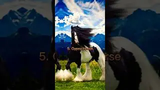 Top 10 Most Beautiful Horse Breeds in the World 😱 #shorts #horse #beautiful #top10 #trending #facts