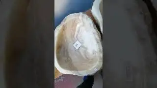 lavandini in onice