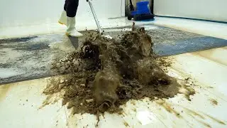 Pulled from a Flood Zone After 3 Months Under Water | Carpet Restoration, Satisfying Video