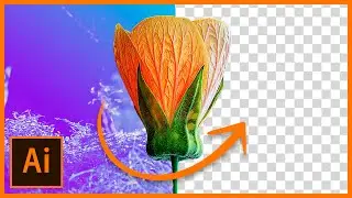 Eliminar fondo en Illustrator a Fotografia | Tutorial Dise&ntilde;o Gr&aacute;fico