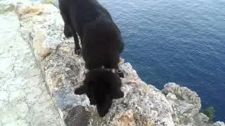 20120709 193444