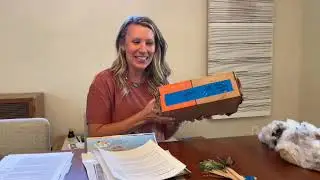 ELF Coordinator Training  - Spiders and Webs - Designs in Nature