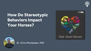 How Do Stereotypic Behaviors Impact Your Horse