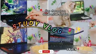 පාඩම් කරමු ද📚✨ | Study With Me 🌷 | සන්සුන් මොහොතක් 🌸 #aesthetic #studyvlog #studywithme #calm 