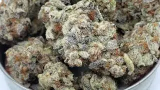 Garlic Nut Butter Breath- The Harmony Collective.
