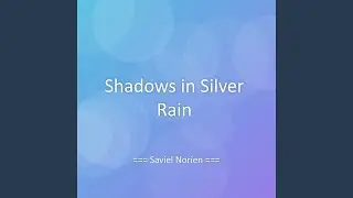 Shadows in Silver Rain