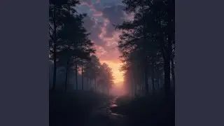 Shadows At Dusk