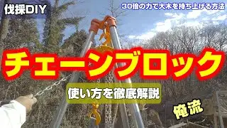 庭木の抜根・倒木処理にチェーンブロック1t - 使い方を解説