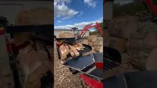 35 inches&hellip; no problem! #alpha6 #firewood