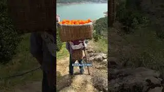 How Drones Are Transforming Orange Farming on Steep Hills