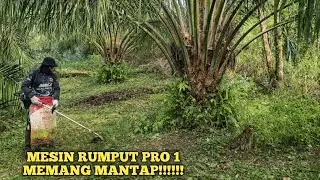 KEBUN SAWIT KU BERSIH BERKAT MESIN RUMPUT PRO 1. @petanipemulatemah