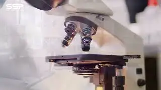 Progressive stamping die, injection mould, tooling components, China tooling factory
