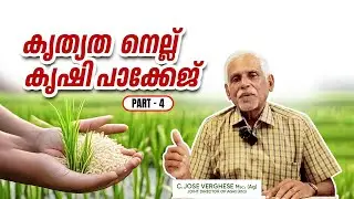 കൃത്യത നെൽകൃഷി part 4 ,അവസാനഘട്ടം (Precision rice farming, final stage)