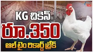 LIVE: Chicken Price Hike In Telugu States |KG చికెన్ రూ.350 ఆల్ టైం రికార్డ్ బ్రేక్ |ZEE Telugu News