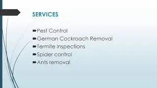 Best Spider control Services in Kingswood