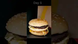 Big Mac 14 Day Time Lapse 🍔👀