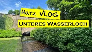 Harz-VLOG: Unteres Wasserloch (2021)