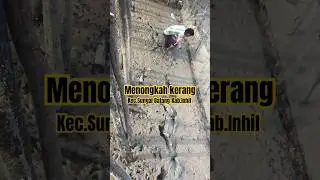 ❗️Menongkah Kerang #kerang #seafood #music #shorts