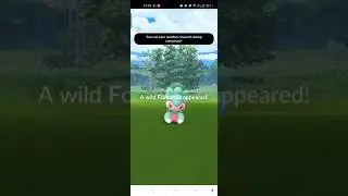 Backlog Field Research Quest and Shiny Check 64/05 🔎