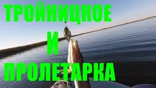 ТРОЙНИЦКОЕ и ПРОЛЕТАРКА