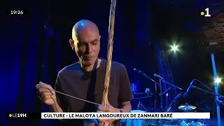 Culture : le maloya langoureux de Zanmari Baré