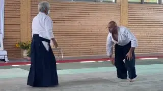 YAMADA SENSEI Tsuki Iriminage