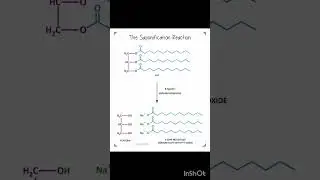 Saponification reaction