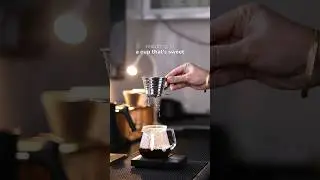 Пивоварня Kalita Wave Brewer &mdash; все, что вам нужно знать!