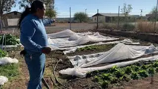 Winter Planting & Garden Tour | Ajo Center for Sustainable Agriculture