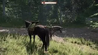 Kingdom Come: Deliverance 2 | Hardcore Mode | 1 Life | Part 57