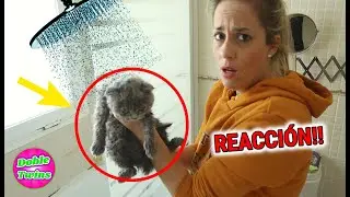 REACCIÓN DE MI MASCOTA AL AGUA POR PRIMERA VEZ! PASA MIEDO CASI SE AHOGA
