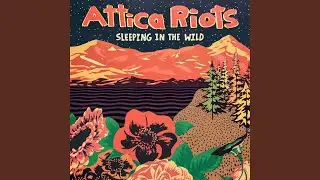 Sleeping In The Wild