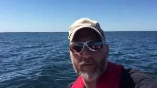 Ostsee-Törn mit Neptun 27 Mücke