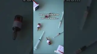 Working Of Vaccine #study #facts #knowledge #biology #covidvaccine