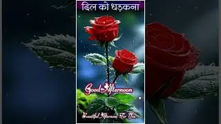 Good afternoon status||whatsapp status#viral #shots #video#hindisong