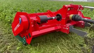 Groenbemester klepelen met Concept Agri WT300