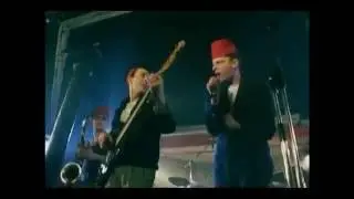 The Madness - Night Boat To Cairo RARE VIDEO !
