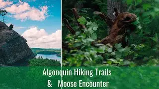Algonquin Provincial Park - Trails