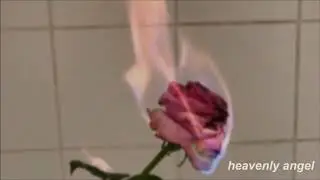Lil peep - the way i see things (lyrics)